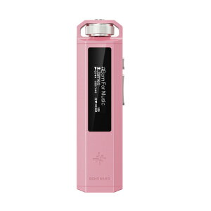 FiiO(�t�B�[�I) FIO-SSENANO-P �s���N Snowsky ECHO NANO �|�[�^�u���I�[�f�B�I�v���[���[ �n�C���]�E���X���X USB DAC����