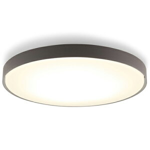 �y�����ۏؕt�z�A�C���X�I�[���}(Iris Ohyama) CEA14DL-7.0BF �`���R�[���u���b�N LED�V�[�����O���C�g �������F 14��