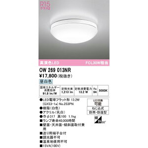 �y�݌ɂ���܂��z ODELIC �I�[�f���b�N �G�N�X�e���A �|�[�`���C�g OW269013NR �����F FCL30W���� �����v�ʍ��� NO253PN��1 �������� ������E�����̏ꍇ�͒��p������ʓr�A�����܂��B