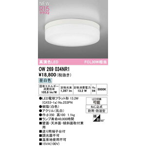 �y�݌ɂ���܂��z ODELIC �I�[�f���b�N �G�N�X�e���A �|�[�`���C�g OW269034NR1 �����F FCL30W���� �����v�ʍ��� NO253PN��1 �������� ������E�����̏ꍇ�͒��p������ʓr�A�����܂��B