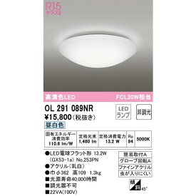 【在庫あります】ODELIC オーデリック 照明器具 OL291089NR LED小型シーリングライト 昼白色 非調光 ランプ別梱包 NO253PN＊1