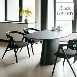 _CjO`FA `FA ֎q 2rZbg It A[`FA C VR i  uE ubN k i`   `FA[ W56cm Rumo 