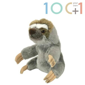 i}Pm pybgyAŗD ʂ݁z yMtgEv[gɍœKz100+1yI[zkCEÊ͂k