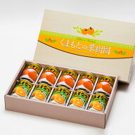 くまもとの果樹園【デコポン・あまなつ缶詰セット】【300g缶詰×10缶入】 デコポンジュース