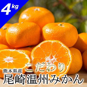 【予約商品】熊本県産みかん こだわり尾崎温州 みかん(中生種)【約4kg入】2025年12月10日(水)〜発送予定