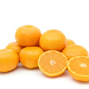 熊本県産 フルーツ みかんの人気商品 通販 価格比較 価格 Com