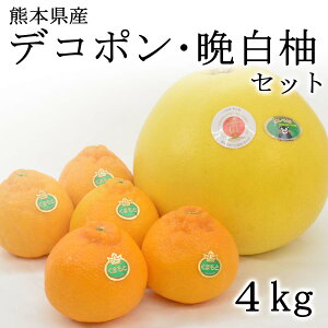 【予約商品】熊本県産デコポン 温室栽培(加温)タイプ【約2kg・5玉入】晩白柚【約2kg・1玉入】 2025年12月10日(水)〜順次発送