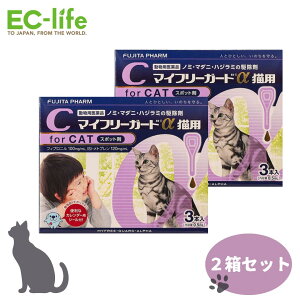 y2ZbgztW^ }Ct[K[h Lp m~ }_j nW~ 쏜 0.5ml×3{×2P[X pi WFlbNi a