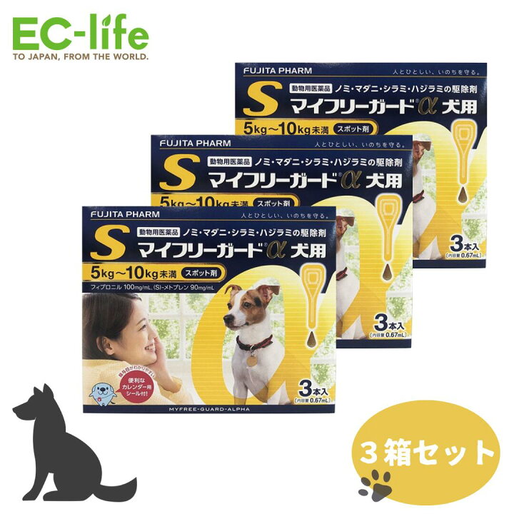 楽天市場】【送料無料 お得な3箱セット】フジタ製薬 マイフリーガードα 