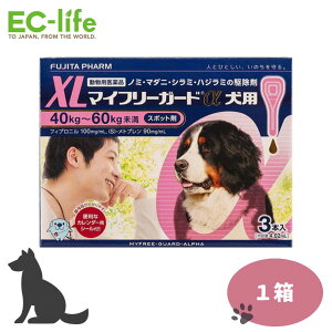 tW^ }Ct[K[h p XL m~ }_j V~ nW~ 쏜 40kg-60kg 4.02ml×3{ pi WFlbNi a l