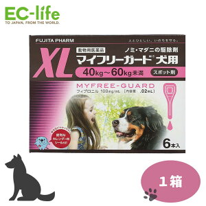 yztW^ }Ct[K[h p XL 40-60kg ^ 4.02ml×6{ m~E}_j쏜 pi WFlbNi