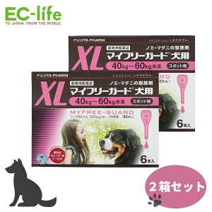 y 2ZbgztW^ }Ct[K[h p XL 40-60kg ^ 4.02ml×6{×2P[X m~E}_j쏜 pi WFlbNi
