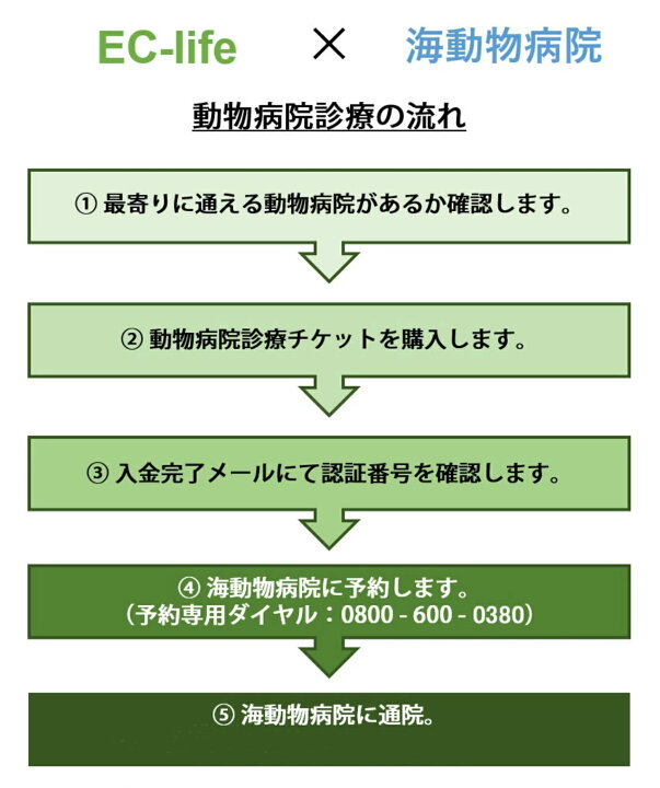 楽天市場 オンライン限定価格 犬用8種混合ワクチンチケット 診療チケット バンガードプラス 5 Cv L ペット用 犬用 全国対応 提携先 海動物病院 送料無料 代引不可 Ec Life Ecライフ