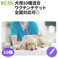 【オンライン限定価格】犬用10種混合ワクチンチケット 診療チケット ペット用 犬用 全国対応 (提携先:海…