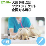 【オンライン限定価格】犬用6種混合ワクチンチケット 診療チケット ペット用 犬用 全国対応 (提携先:海動…
