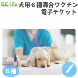 【オンライン限定価格】犬用6種混合ワクチンチケット 診療チケット ペット用 犬用 全国対応 (提携先:海動物病院) [送料無料] [代引不可]