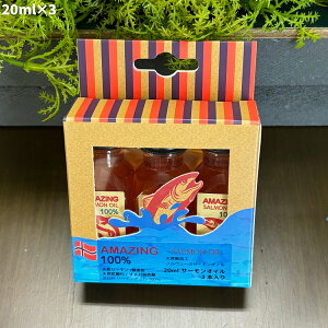 yybgp mEF[Y TvgzACWO T[IC 300ml×1/20ml×3 ybgpi p Lp VRT[ Y  hbOt[h Lbgt[h h{⏕ Tv IKb