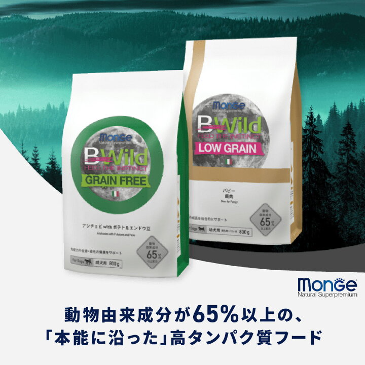 楽天市場】☆【定期購入なら初回のみ50%OFF】【子猫用 イタリア製 
