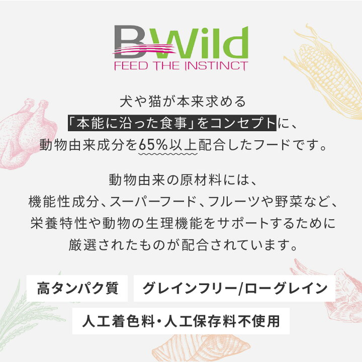 楽天市場】☆【定期購入なら初回のみ50%OFF】【子猫用 イタリア製 