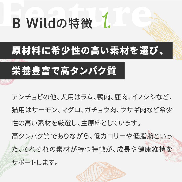 楽天市場】☆【定期購入なら初回のみ50%OFF】【子猫用 イタリア製 