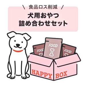 y2025N12ȑȌܖ؂z󂠂  p lߍ킹 X̔i3000~ȏ i̔ HiX팸 ݌Ɍ Ђw ^ q ps[  A_g ^