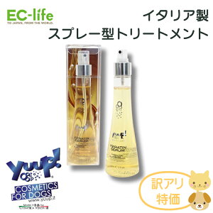 yybgp C^A g[gg gp2025N12z󂠂i yuup! Xv[^Cv P`Z ybgpg[gg 150ml  p Lp RfBVi[ X 