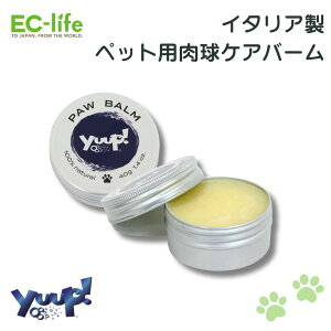 yybgp C^A pizyuup! PApo[ 40g nhN[ N[  p Lp VRf PA @  畆 ێ  Ђъ  nh o[ 
