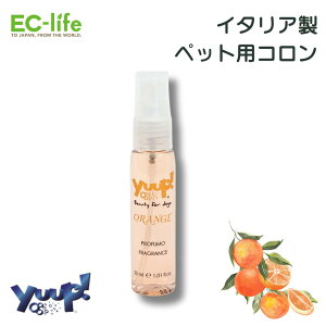 yybgp C^A Rzyuup! Color Your Style R IW 30ml  AR[t[ t[  p Lp VRf ybgpi ybgObY IW Vi 