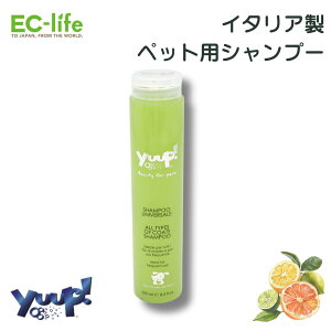 yybgp C^A Vv[zyuup! jo[TVv[ 250ml 100VRf ybgp  p Lp Vv[ AGGLX L kn  E hL  ɂ  L