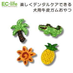 ypz̎ K Aj}bybgp K f^PA  Ckp    L\h ^ ^ ^ hbOt[h  ʕ Β {[ 