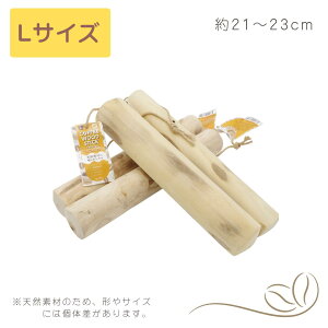 _yV|Cg10{^yp݂zR[q[XeBbN COFFEE WOOD STICK Iׂ3TCYiSEMELjb100VRfނ̃f^PAgC ^ ^ ^ f^gC i` n