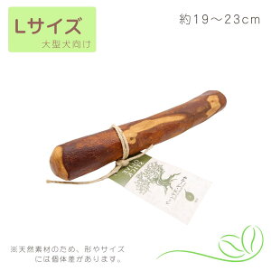 _yV|Cg10{^yp݂zI[uXeBbN Olive Stick Iׂ3TCYiSEMELjb100VRfނ̃f^PAgC ^ ^ ^ f^gC i` n~K