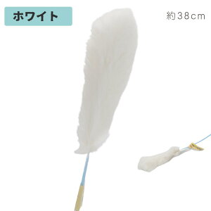 _yV|Cg10{^yLpzۂۂ񂶂炵izCgEO[j38cmE32cmbL  ˂炵 L̂ VR t@[ ETM rbg ӂӂ _炩 L  