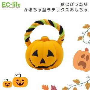 yybgpzpvLN ebNXhbOgCitj11cm×8cmbnEB ڂ G߂̃MtgBeɂI  [v J{` CeA p q