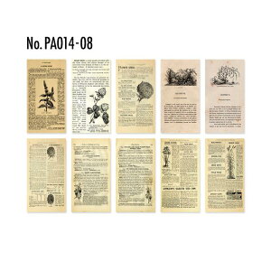 PA014 f R[W f fUCy[p[ wi  蒠 L WNW[i CO m 