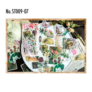 ST009 V[ t[NV[ a R[W f R[W V[ R[WV[ R[Wf XebJ[  蒠 L WNW[i CO m 