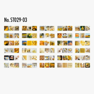 ST029 V[ V[ubN i  a R[W f R[W V[ R[WV[ R[Wf XebJ[  蒠 L WNW[i CO m 