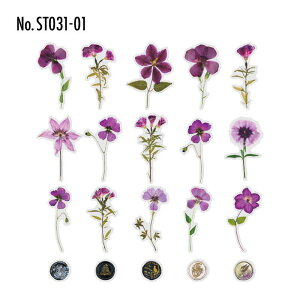 ST031 V[   t[ V[OX^v t[NV[ PET R[W f R[W V[ R[WV[ R[Wf XebJ[  蒠 L WNW[