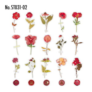 ST031 V[   t[ V[OX^v t[NV[ PET R[W f R[W V[ R[WV[ R[Wf XebJ[  蒠 L WNW[