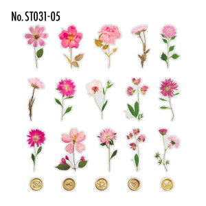 ST031 V[   t[ V[OX^v t[NV[ PET R[W f R[W V[ R[WV[ R[Wf XebJ[  蒠 L WNW[