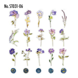 ST031 V[   t[ V[OX^v t[NV[ PET R[W f R[W V[ R[WV[ R[Wf XebJ[  蒠 L WNW[