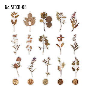 ST031 V[   t[ V[OX^v t[NV[ PET R[W f R[W V[ R[WV[ R[Wf XebJ[  蒠 L WNW[