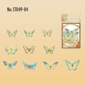 ST049 V[  X o^tC t[NV[ PET R[W f R[W V[ R[WV[ R[Wf XebJ[  蒠 L WNW[i CO m 