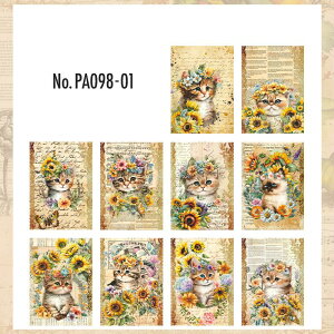 PA098 f L lR wi R[W f fUCy[p[ wi  蒠 L WNW[i CO m 