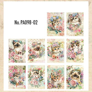 PA098 f L lR wi R[W f fUCy[p[ wi  蒠 L WNW[i CO m 