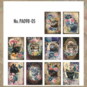 PA098 f L lR wi R[W f fUCy[p[ wi  蒠 L WNW[i CO m 