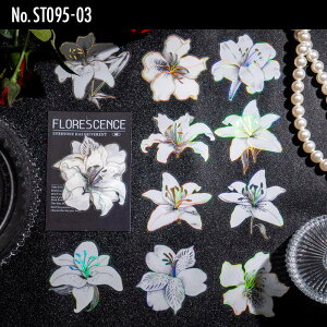 ST095 V[  t[ mg[ t[NV[ PET R[W f R[W V[ R[WV[ R[Wf XebJ[  蒠 L WNW[i CO m 