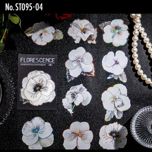 ST095 V[  t[ mg[ t[NV[ PET R[W f R[W V[ R[WV[ R[Wf XebJ[  蒠 L WNW[i CO m 