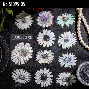 ST095 V[  t[ mg[ t[NV[ PET R[W f R[W V[ R[WV[ R[Wf XebJ[  蒠 L WNW[i CO m 