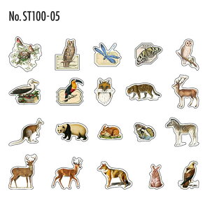 ST100 V[   f ʕ t[NV[ PET R[W f R[W V[ R[WV[ R[Wf XebJ[  蒠 L WNW[i CO m 